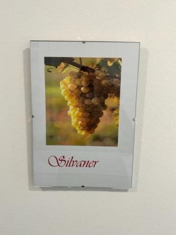 Ferien Im Reblaus Apartment *